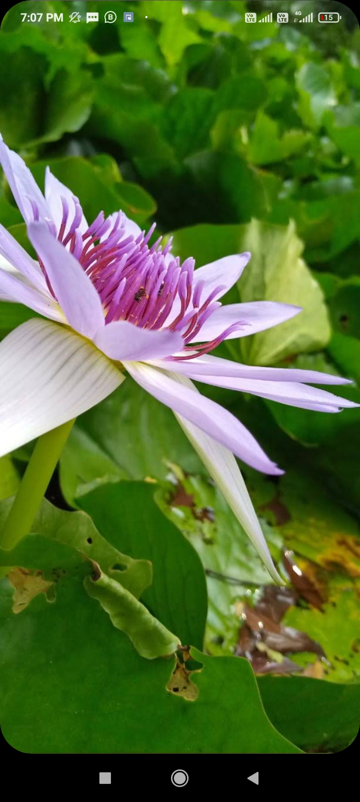 Tirunelveli 20கிமீ